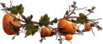 By*Artsie_ladie* <img150*0:stuff/PumpkinVine-brownDiv_5pum250.png>