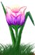 <img25*0:stuff/TulipPastelVarSMRev.png>
