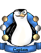<img:stuff/elf12%20captain%20badge.png>