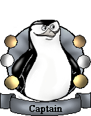 <img:stuff/elf12%20captain%20retired%20badge.png>